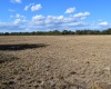 Media Naranja Córdoba, Argentina, ,Campo,En venta,Media Naranja,1156