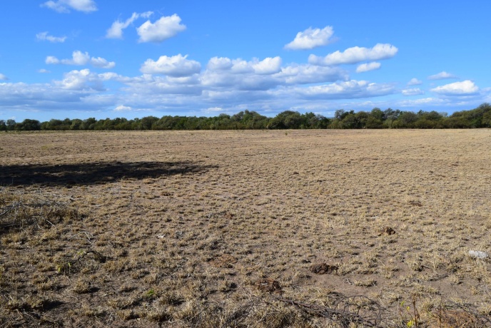 Media Naranja Córdoba, Argentina, ,Campo,En venta,Media Naranja,1156