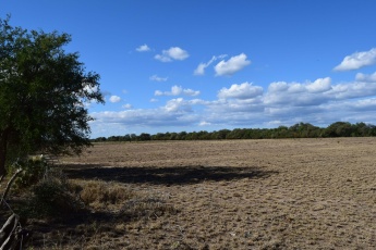 Media Naranja Córdoba, Argentina, ,Campo,En venta,Media Naranja,1156