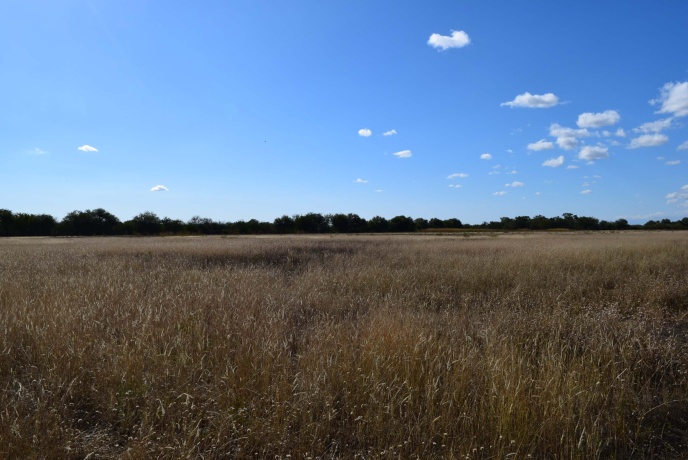 Media Naranja Córdoba, Argentina, ,Campo,En venta,Media Naranja,1156