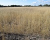 Media Naranja Córdoba, Argentina, ,Campo,En venta,Media Naranja,1156