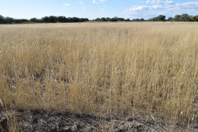 Media Naranja Córdoba, Argentina, ,Campo,En venta,Media Naranja,1156