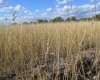 Media Naranja Córdoba, Argentina, ,Campo,En venta,Media Naranja,1156