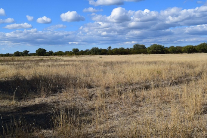 Media Naranja Córdoba, Argentina, ,Campo,En venta,Media Naranja,1156