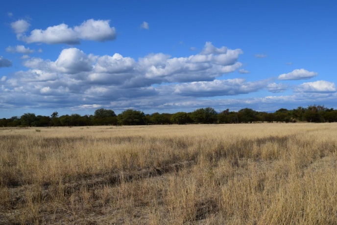 Media Naranja Córdoba, Argentina, ,Campo,En venta,Media Naranja,1156